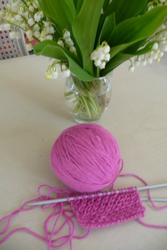 point de sparterie rose