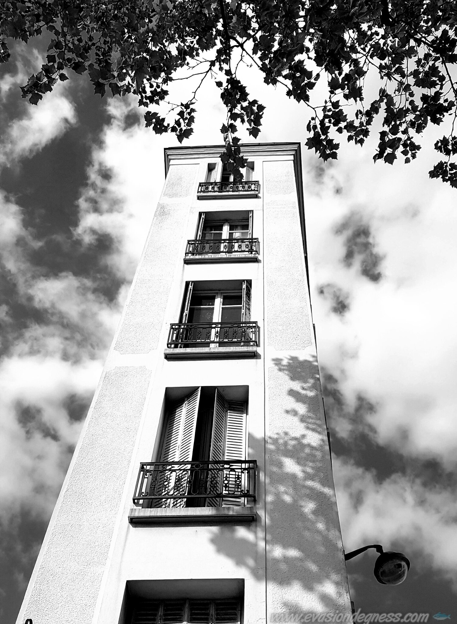20170423_170251_wm[1]