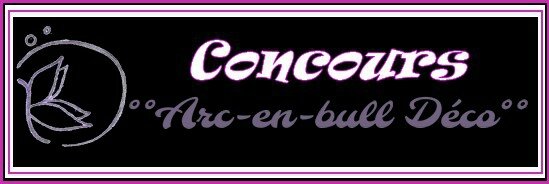 arc-en-bull cadre concours