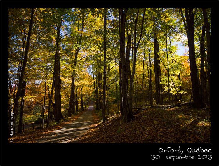 IMG_9219-naturelimages.com