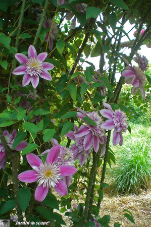 jardins_de_Roquelin_61