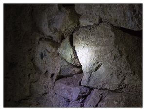 DSNE_chauve_souris_spot_1_souterrain_cs_1_230110