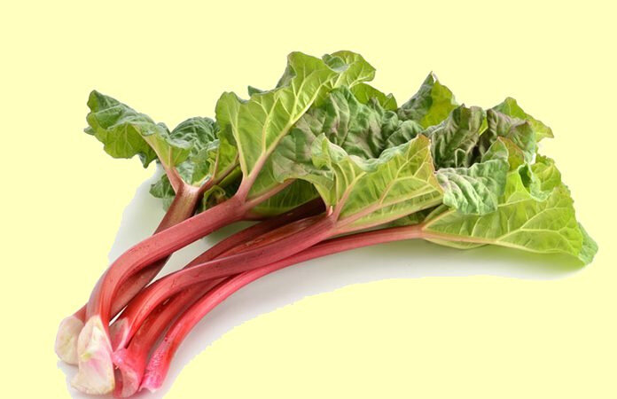 Rhubarbe