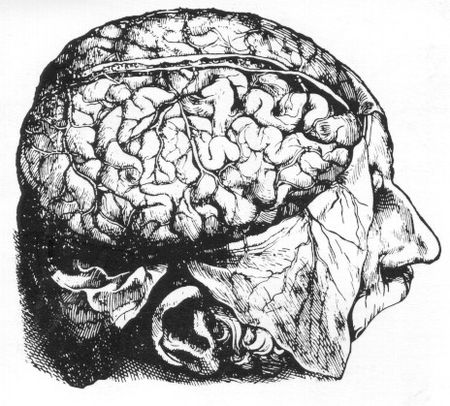 BLACK_AND_WHITE_BRAIN