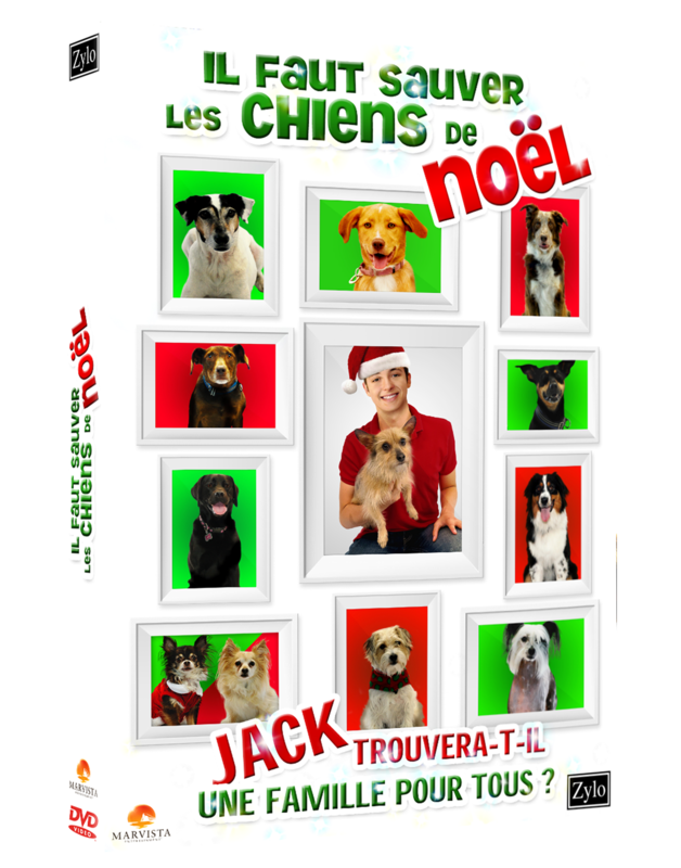 chiens de noel