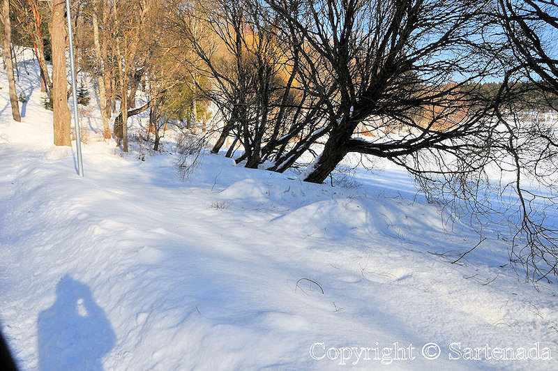 winter_walk_in_hameenlinna-8