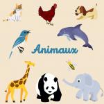 Animaux