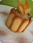 Charlotine_aux_Marron_3