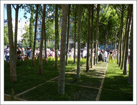 Champs_foule_arbres_carre