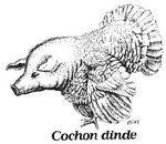 Cochon_dinde