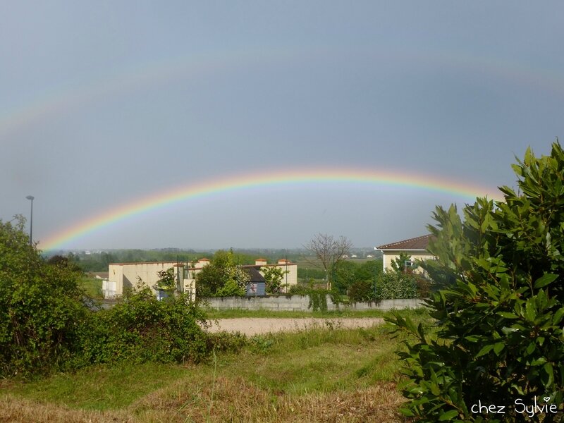 Arc en ciel2