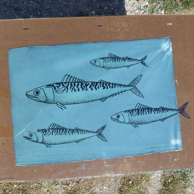 cyanotype poisson 1