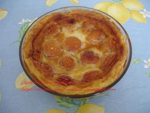 clafoutis_abricots