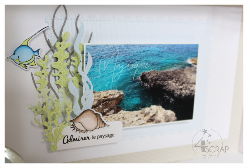 240422 - Home Deco Nature AP E22 - J3 #3