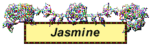 jasmine_2