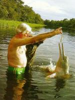 CPM Jean-Michel Cousteau Dauphin RR