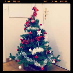 My_Christmas_Tree_2011__2_