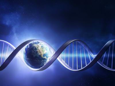 la-force-des-mots-pour-reprogrammer-adn