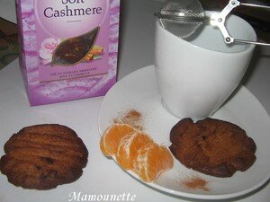 Sabl_s_vanille_cannelle_au_th____la_rose_et___la_cannelle_009