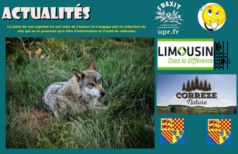 ACT CORREZE LOUP
