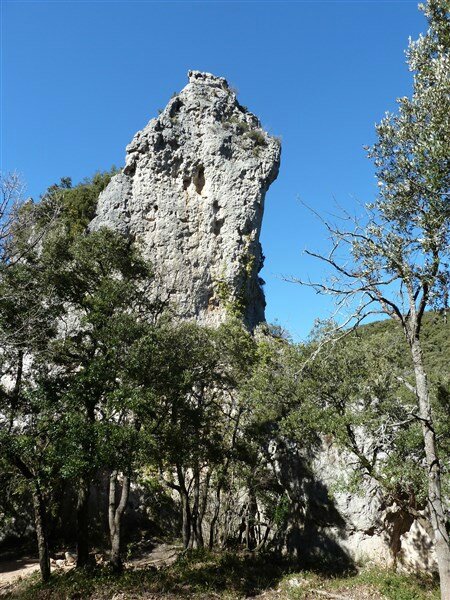 P1020919