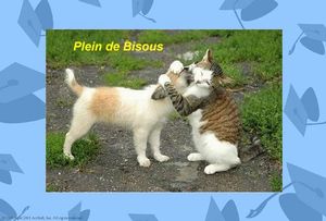 bisou_amour_fou_r_d_65_
