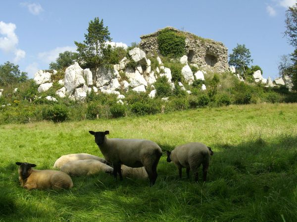 Mont Castres ruines du château 2