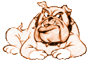 Chiens_bouldog