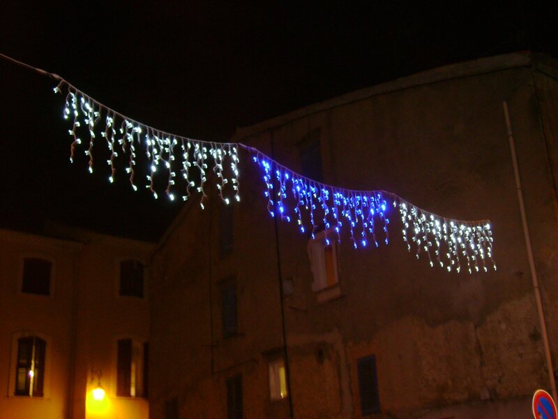 DSC06951