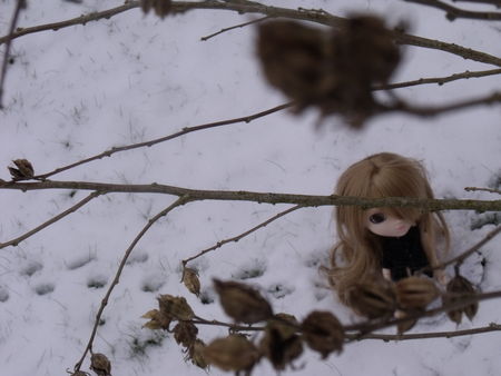 2009_1229_Pullip_0043