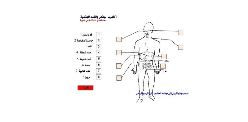 الجهاز الهضمي