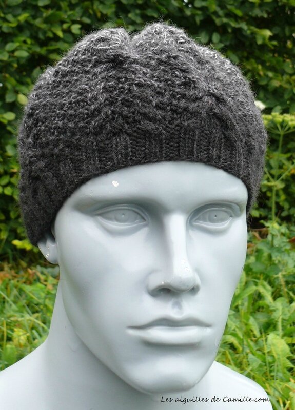 Bonnet Introspection 2