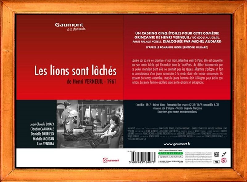 dvd les lions