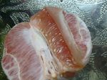 pamplemousse_6