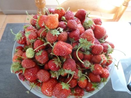 15-fraises (3)