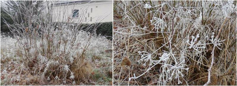 givre1