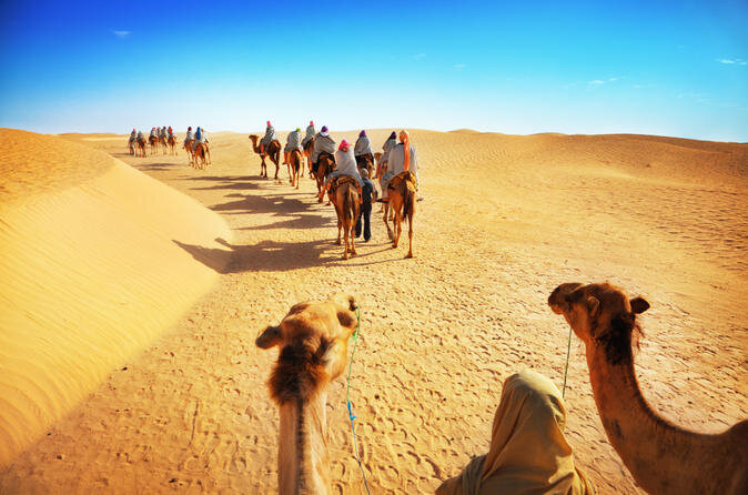 exp-rience-dans-le-d-sert-safari-dos-de-chameau-avec-d-ner-et-activit-in-dubai-154755