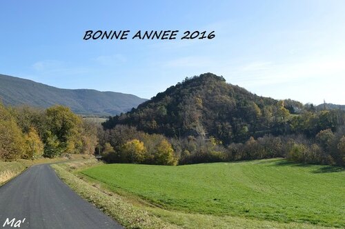 2016_bonne_année