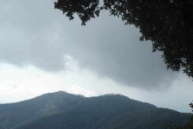 blog a19