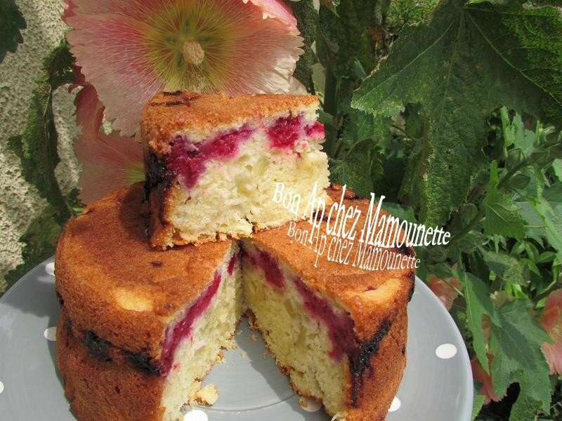 gâteau aux framboises et rhubarbe du jardin 027