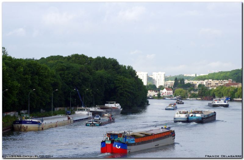 St_Laurent_Export_Tempo_Vesta_Jaguar_Trinidad_Florimonde_Bossuit_Aquarius_0707201202