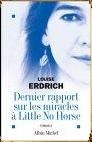 Dernier_rapport___little_no_horse__pochette_