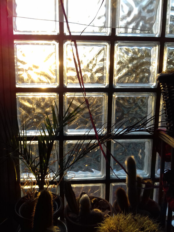 20190216_081259