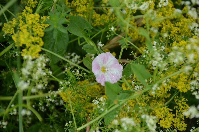 DSC_0047