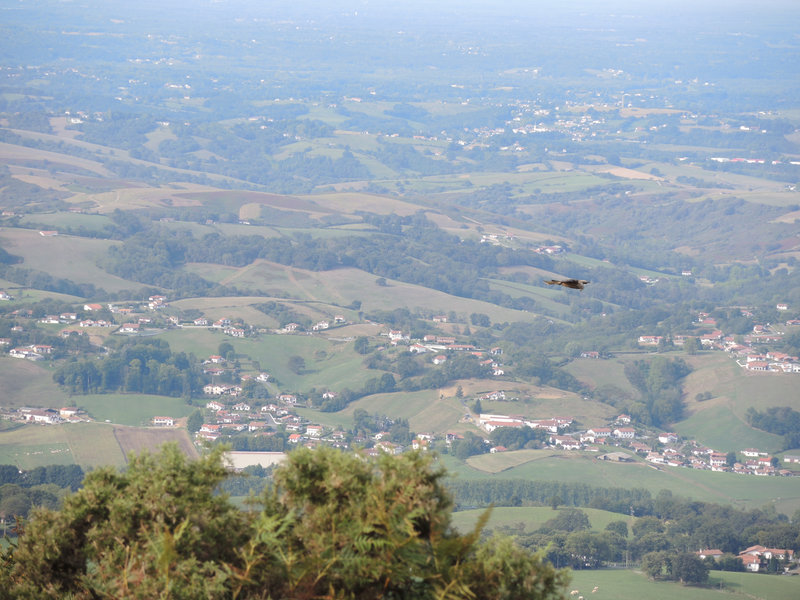 Mont Ursuya, panorama nord et milan (64)