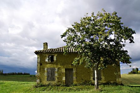 maison_et_arbre2