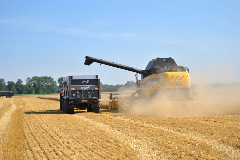 baromesnil moisson ledoux 16-07-2019 001 (108)