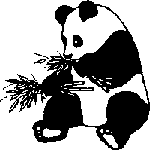 panda2