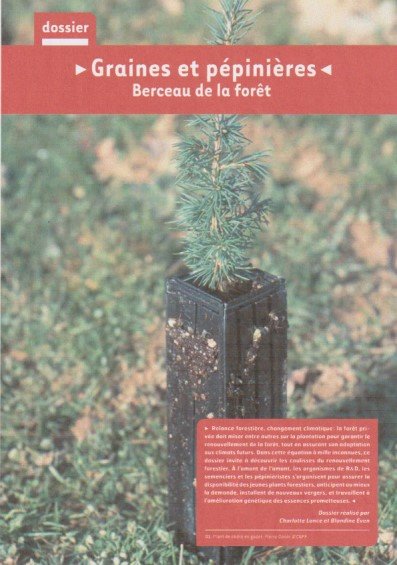 foret1
