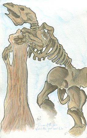 megatherium